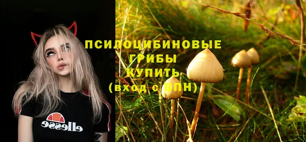jwh Арсеньев