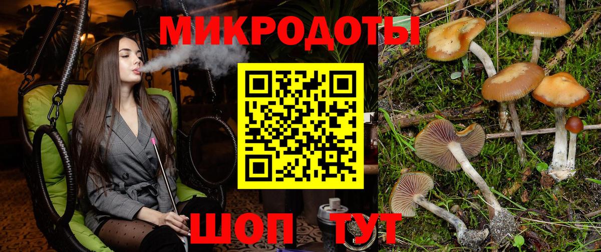 Псилоцибиновые грибы Cubensis  продажа наркотиков  Псилоцибиновые грибы GOLDEN TEACHER  Чапаевск  Вход с VPN 