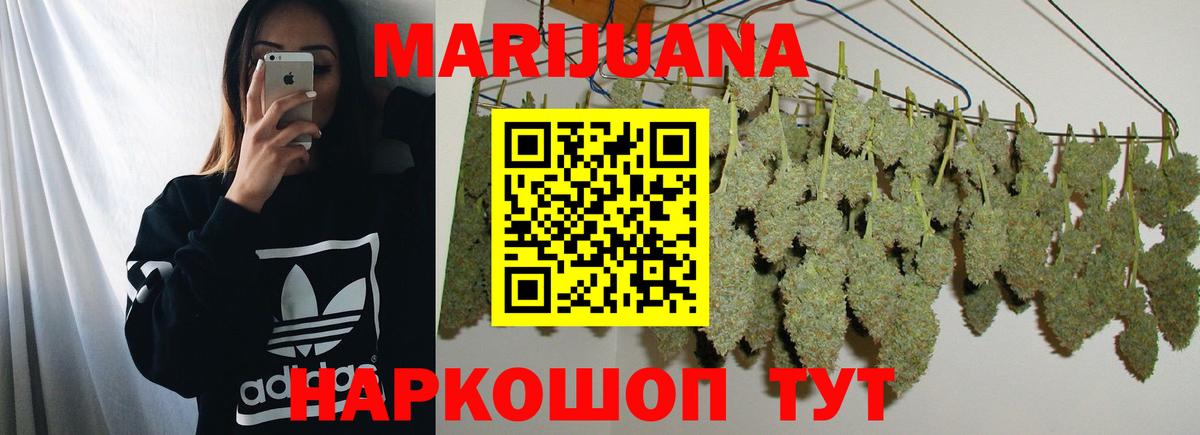 Бошки марихуана план  Канабис сатива  Бошки марихуана семена  Вход с VPN  Чапаевск 